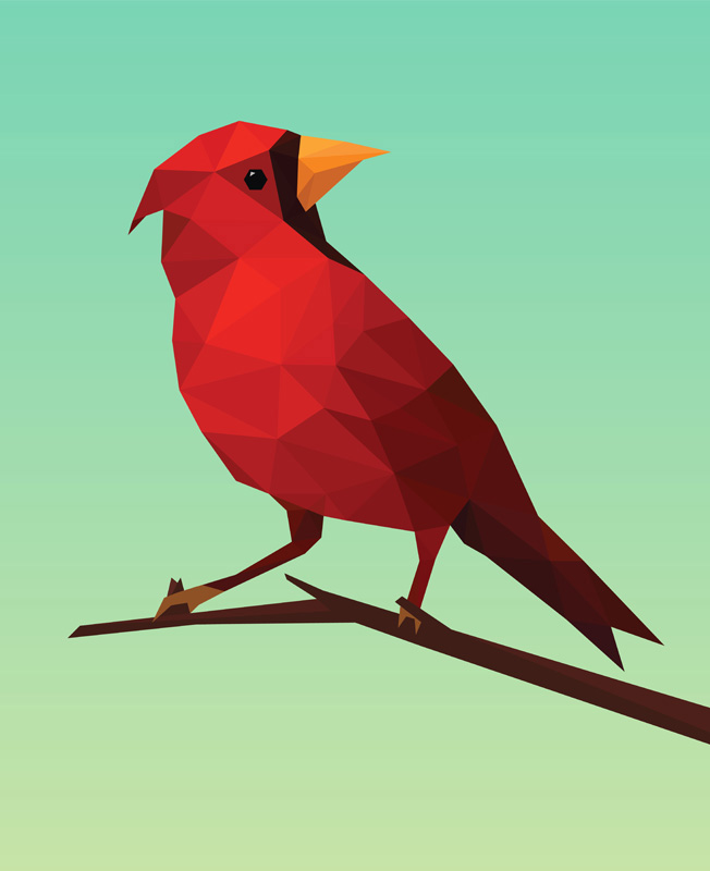 Illustration by Bogdan Draghici