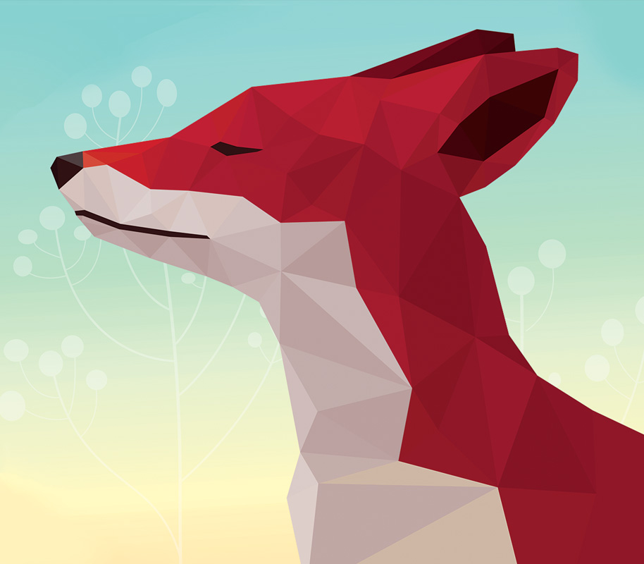 Illustration by Bogdan Draghici