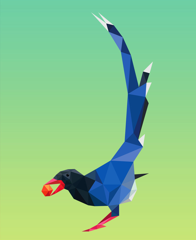 Illustration by Bogdan Draghici